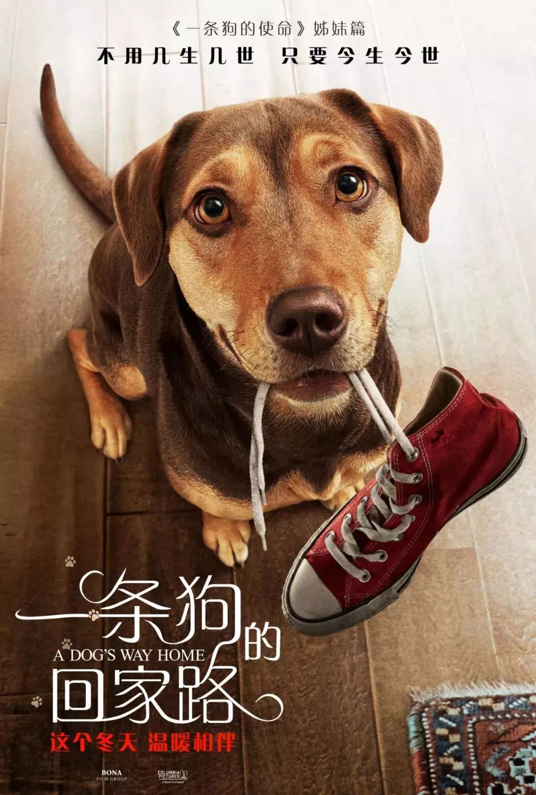 再说一遍 不是“机器狗”再说一遍，超越误解，我们并非机器狗